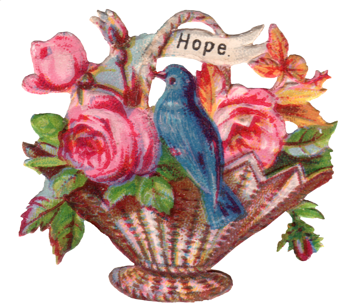 A Lovely Little Blue Bird Sitting On A Rose Filled - Garden Roses (1244x1138), Png Download