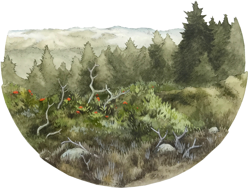 Mount Tamalpais, Ca (1000x1000), Png Download