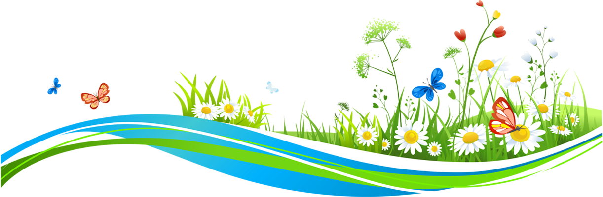 Transparent Decoration With Flowers And Butterflies - Flower And Butterfly Graphic (1262x479), Png Download