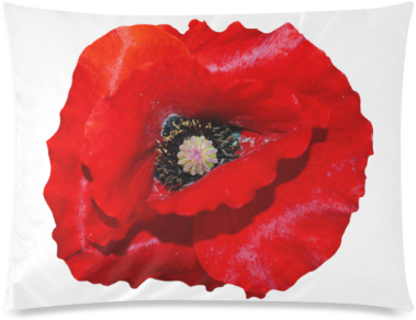 Poppy Flower Custom Zippered Pillow Cases 20"x26" - Silver Plated 18" Chain And Pendant Necklace (500x500), Png Download