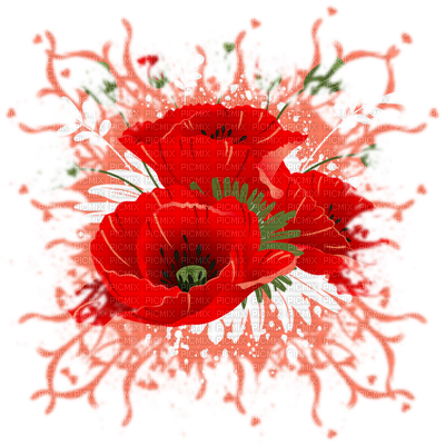 Coquelicot Deco Poppy Flower - Oriental Poppy (400x400), Png Download