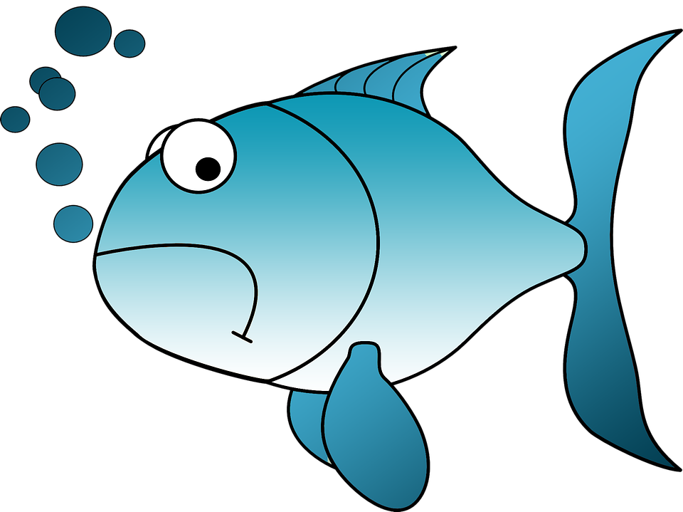Clueless Investor - Fish Clip Art (960x719), Png Download
