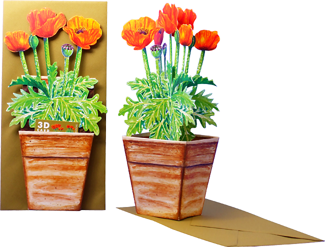 3d Flowers Card (650x494), Png Download