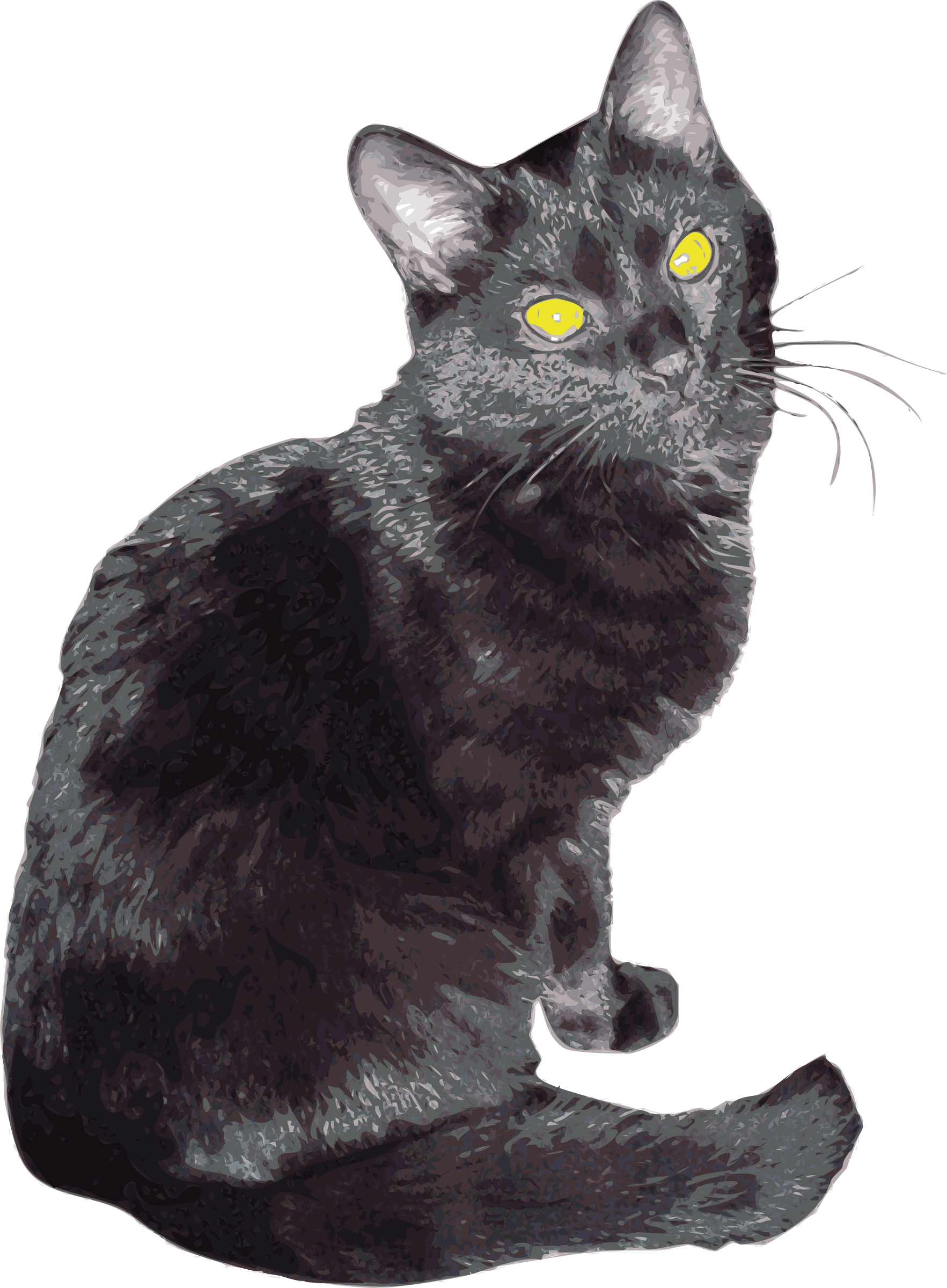 Sherlock Png (1765x2400), Png Download