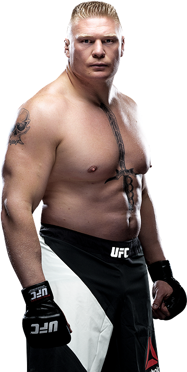 Member - Brock Lesnar Ufc Png (504x756), Png Download