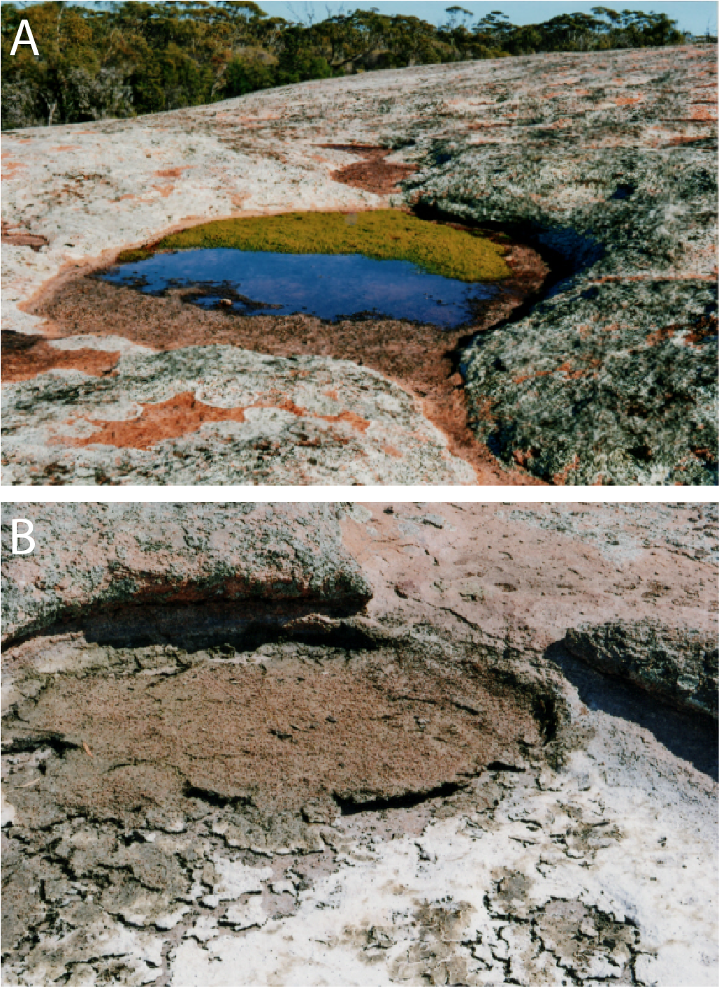 Url, Http - Football Pools (1890x1454), Png Download