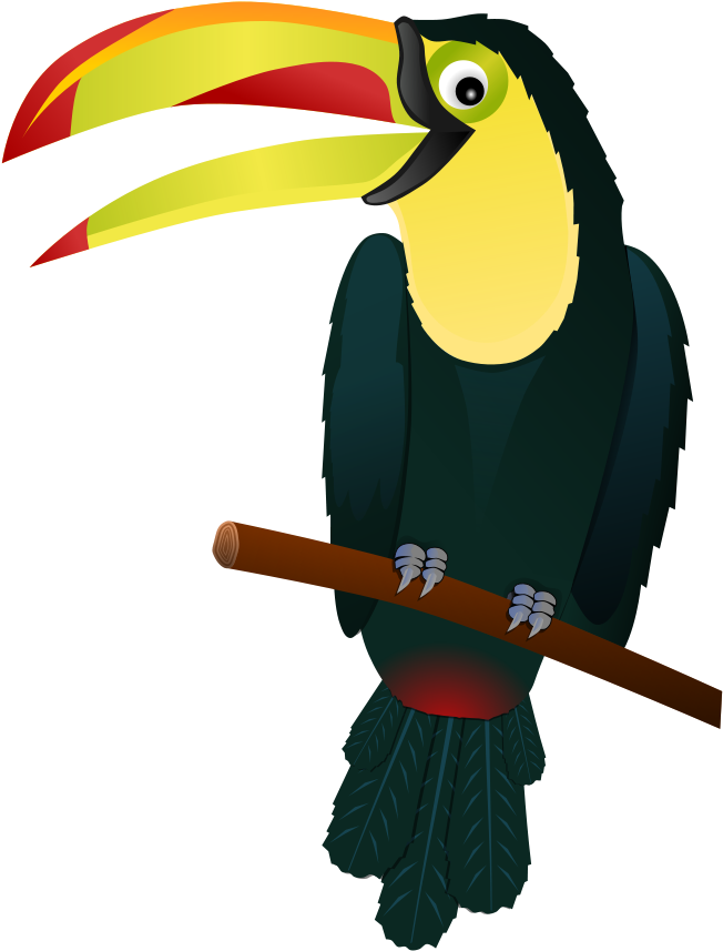 How To Set Use Toucan Clipart (675x900), Png Download