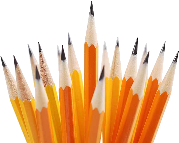 Trivia - Wooden Pencils (600x472), Png Download