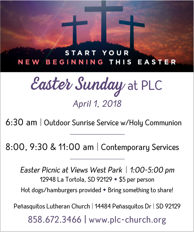 This Week In The Toucan Class - Teach Me Your Word, O Lord [book] (768x915), Png Download