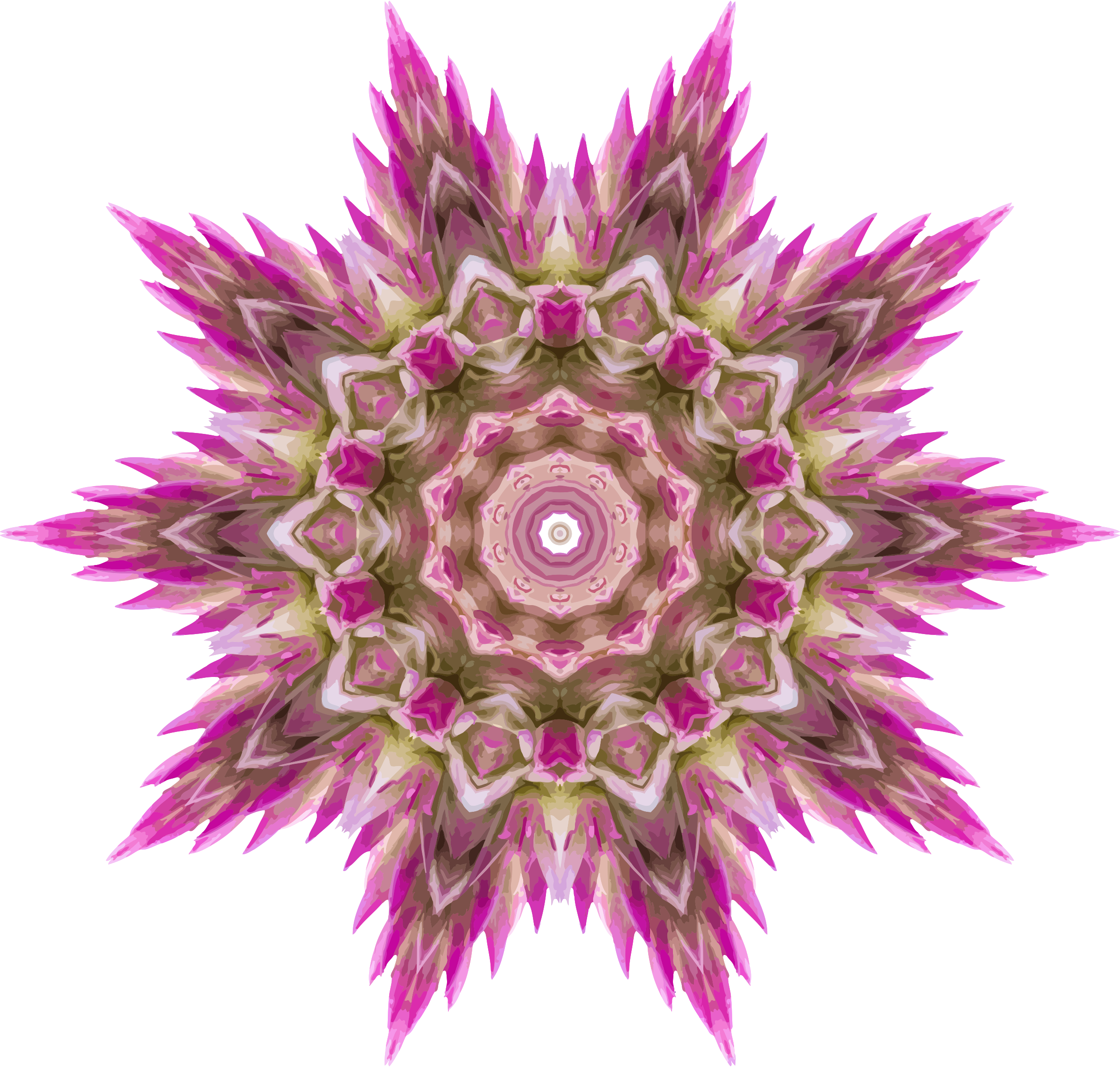 This Free Icons Png Design Of Wildflower Kaleidoscope (2400x2287), Png Download