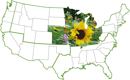 United States Of America (515x284), Png Download