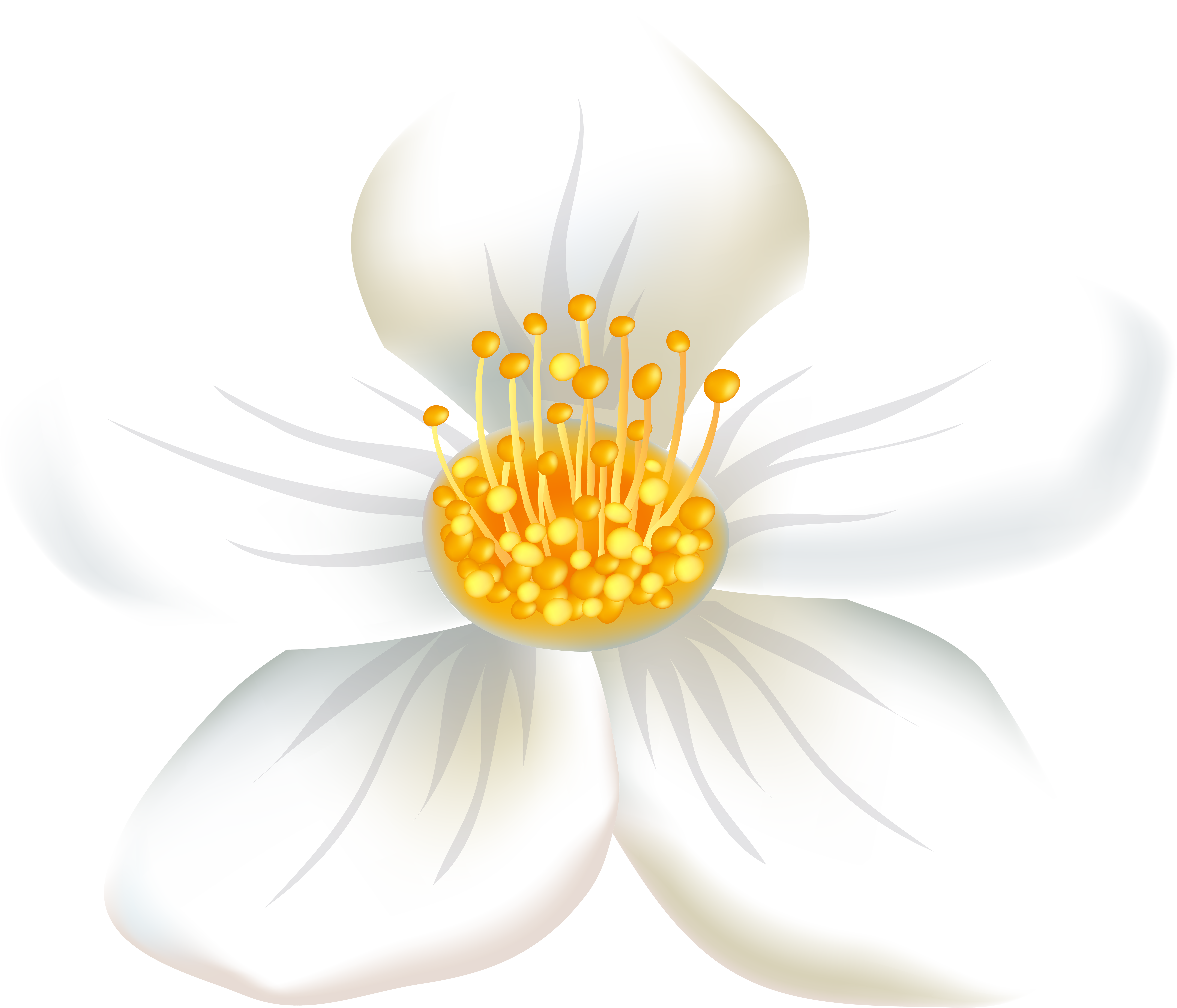 Wildflower Png (8000x6849), Png Download