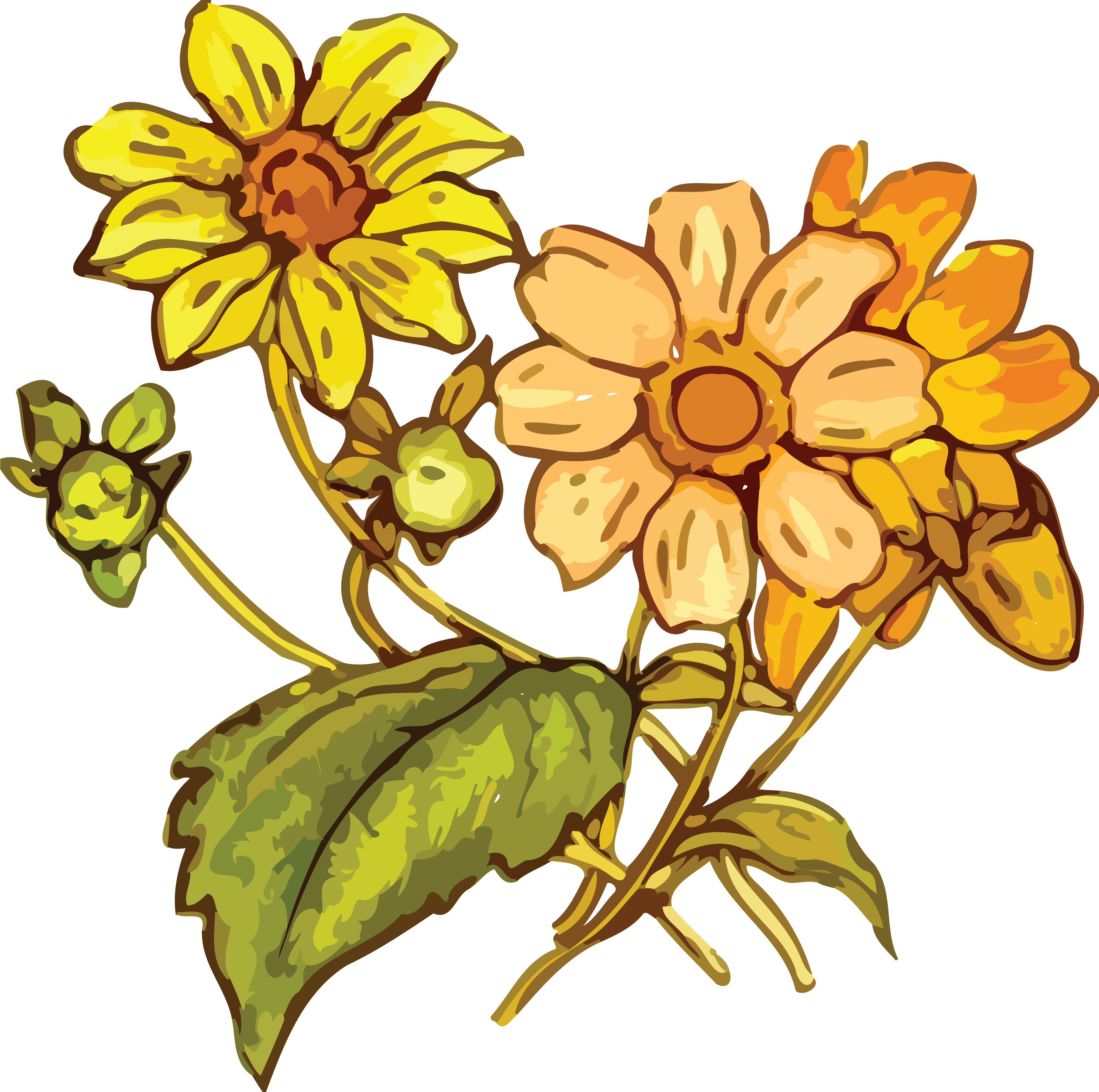 Free Clipart Of A Flowering Plant - Yellow Flower Drawing Png (4000x3975), Png Download