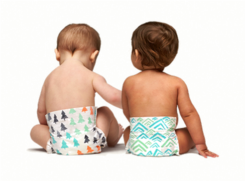 Monthly Diaper Box - Parasol Diapers (542x397), Png Download