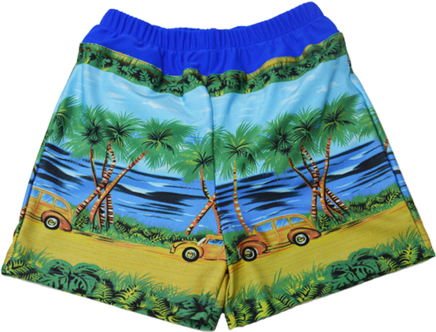 Special Needs Youth Swim Diaper Trunks - Swim Diaper (643x798), Png Download