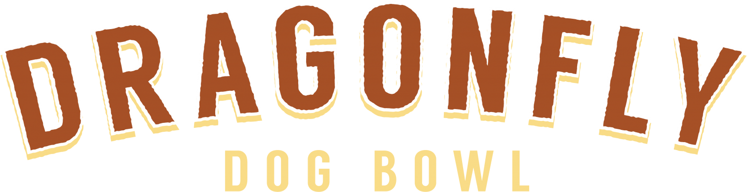 Dragonfly Dog Bowl (1679x599), Png Download