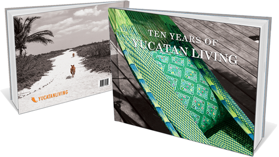 Limited Edition Collector's Book - Ten Years Of Yucatan Living (562x316), Png Download