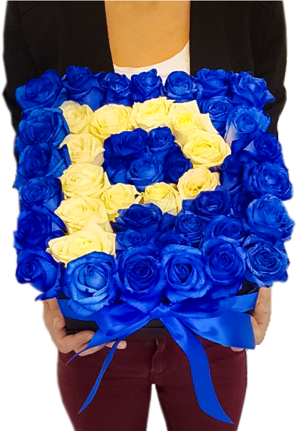 Black Box Of Blue Roses With White Letter - Rose (687x840), Png Download