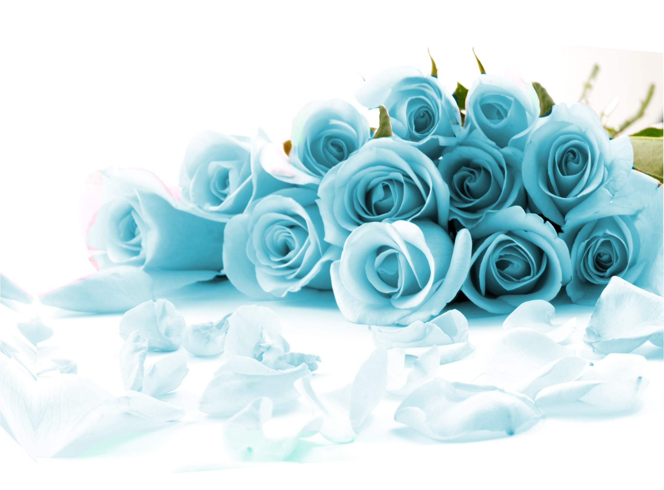Item Specifics - Get Well Soon Pink Roses (2248x1600), Png Download