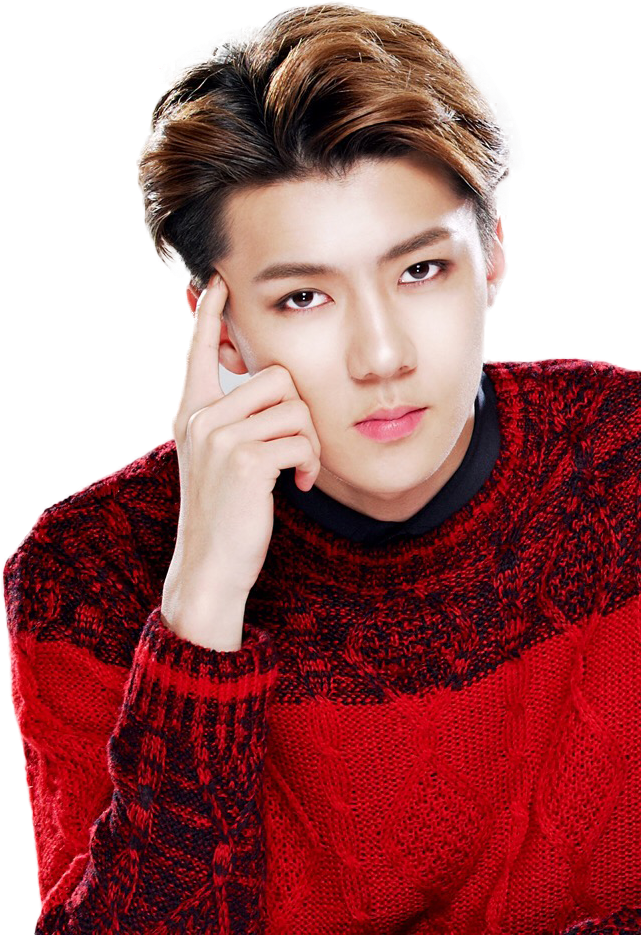 Sehun Of Exo Luhan, Exo Korean, Free - Download Foto Sehun Exo (640x960), Png Download