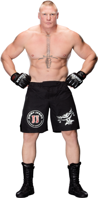 Imagenes De Brock Lesnar (320x728), Png Download