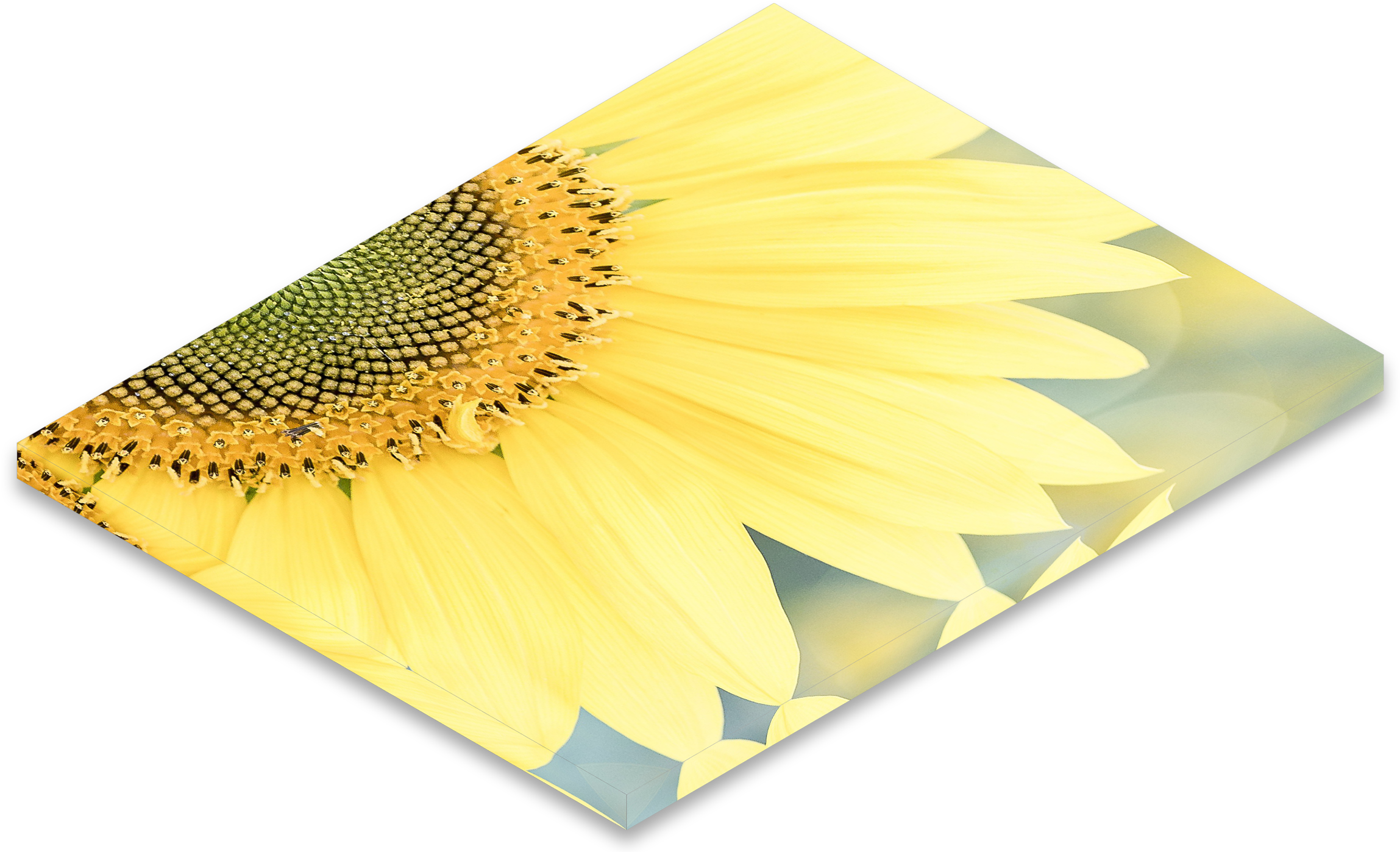 Mirror Wrap - Color (2365x1430), Png Download