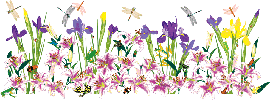 I Am Trying To Make This Process More Available To - Colorful Design Border Png (918x374), Png Download