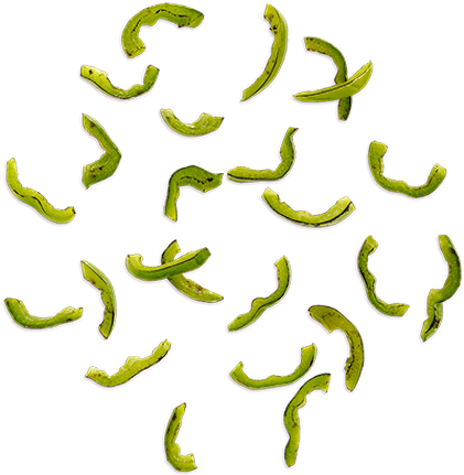Cart - Pizza Green Pepper Png (525x525), Png Download