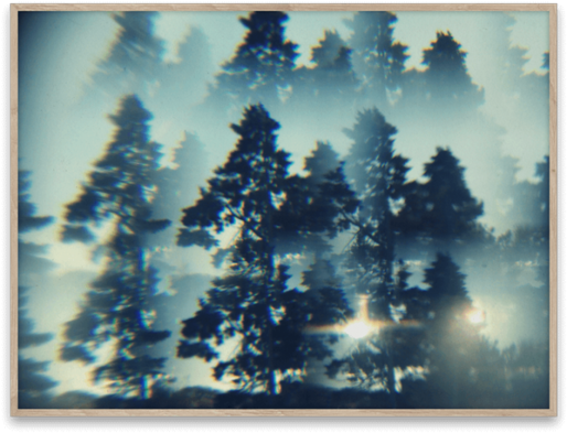 Paper Collective The Woods Poster 40 X 30 Cm. (600x458), Png Download