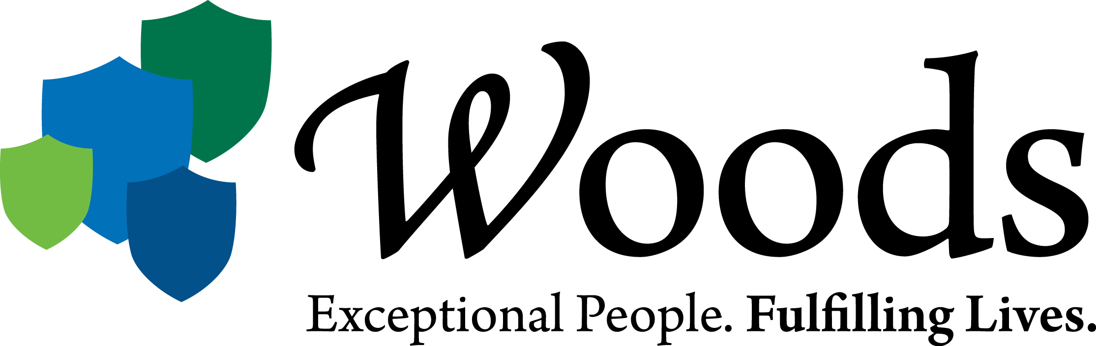 Non-profits Partner To Expand Opportunities - Woods Services (2229x705), Png Download