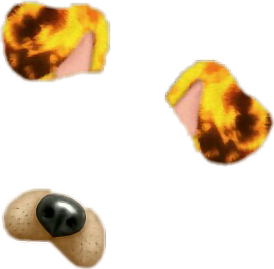 Download Dog Ear Png - Dog Ear And Nose Png Transparent - Full Size PNG