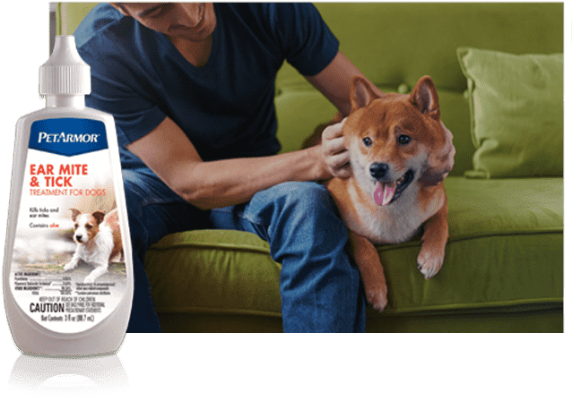 Ear Care - Dog (640x600), Png Download