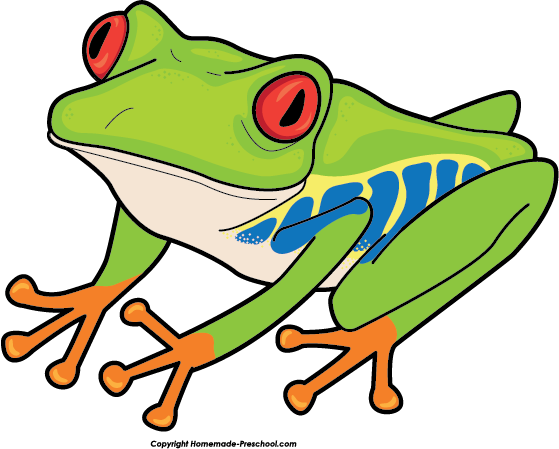 Freeuse Stock Christmas Frog Clipart - Red Eyed Tree Frog Cartoon (559x449), Png Download