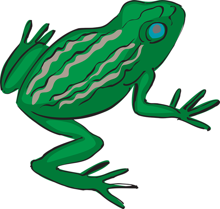Green Frog Clipart Bull Frog - Frogs Legs Clipart (757x720), Png Download
