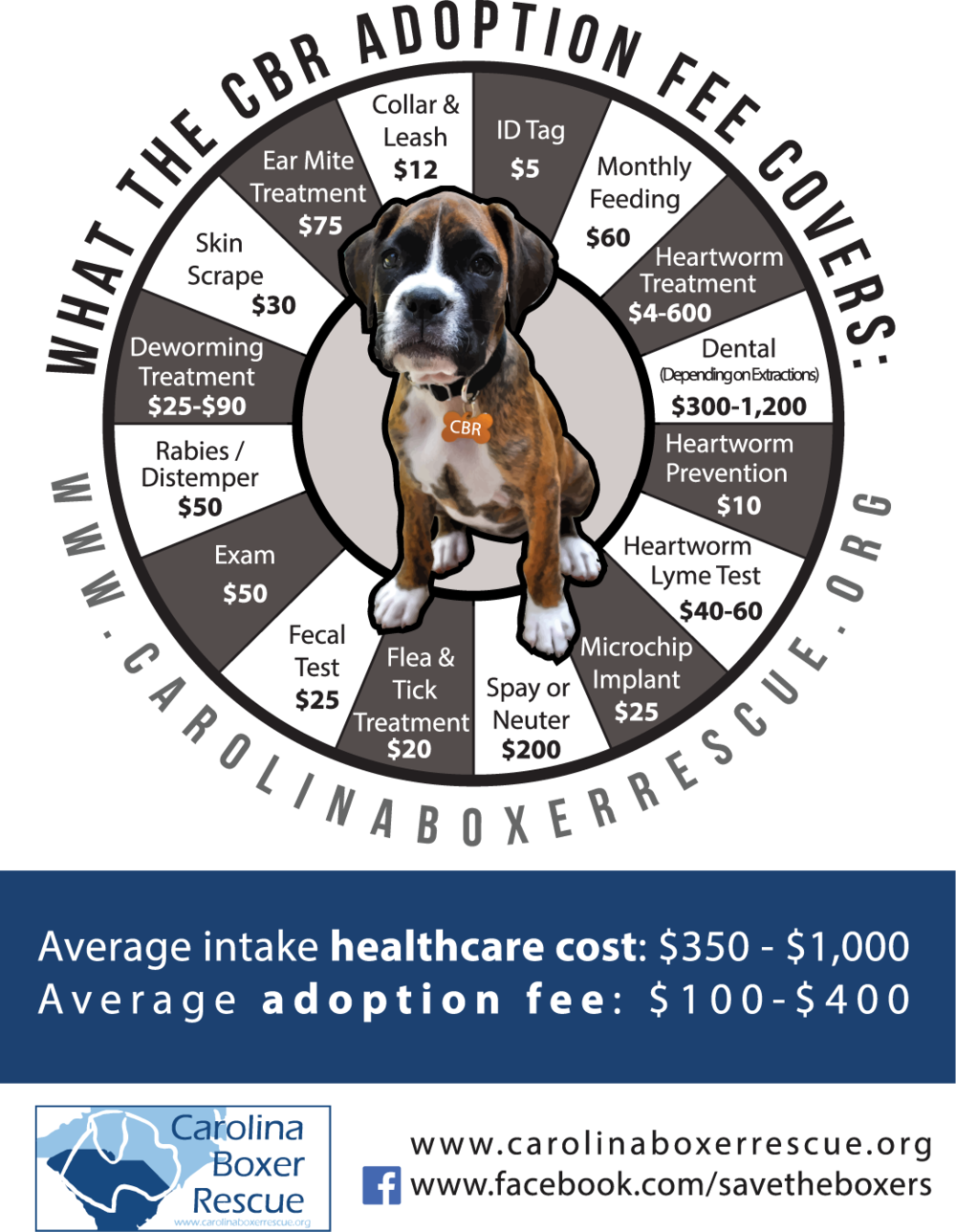 Cbr Cost Web - World Wide Web (1000x1288), Png Download
