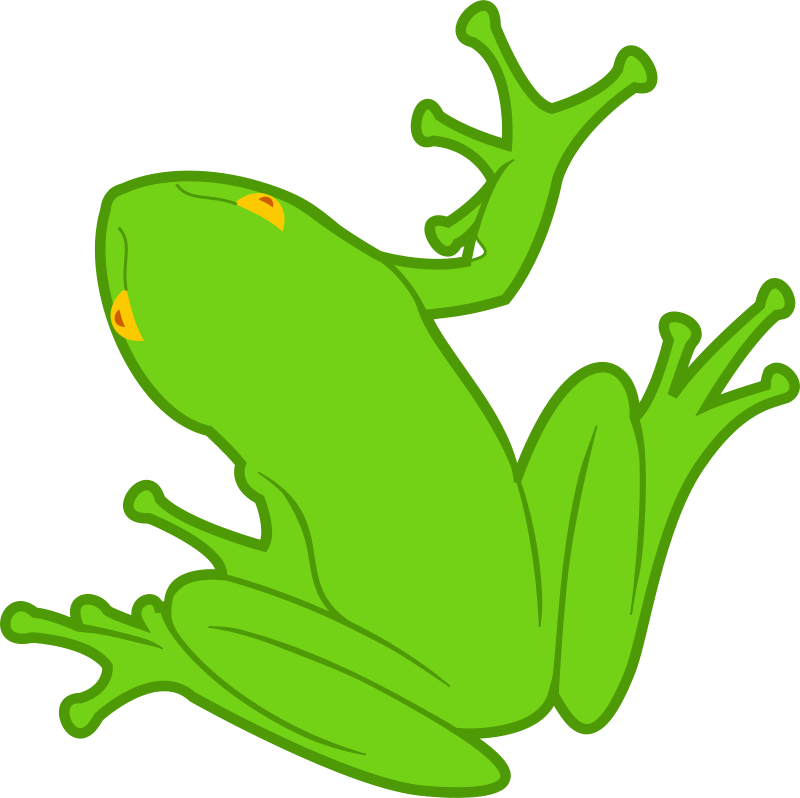 Custom Green Frog Shower Curtain (800x798), Png Download