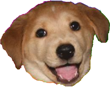 Advice Dog Png - You Did A Thing Meme (528x433), Png Download