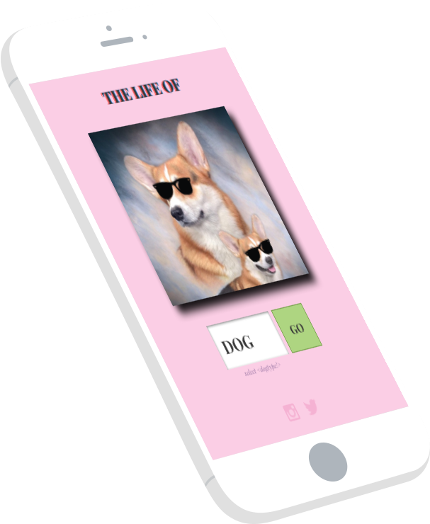 Featureimg Lifeofdoggo - Smartphone (800x800), Png Download
