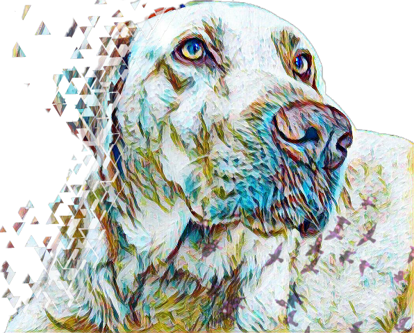 Cocker Spaniel (596x480), Png Download