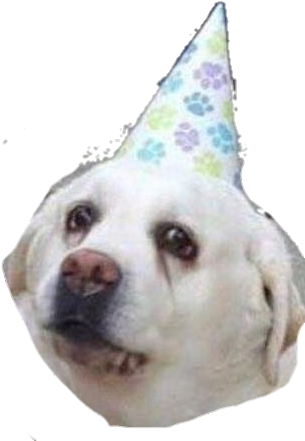 Doggo2 Discord Emoji - Happy Borkday (350x444), Png Download