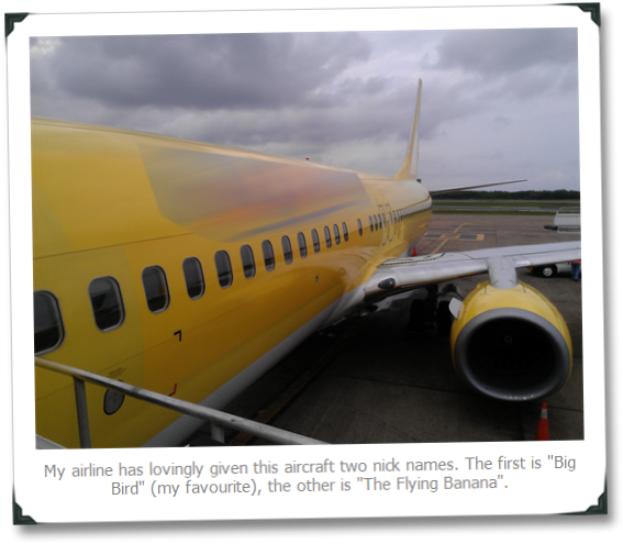 Liked It Share It - Boeing 737 Next Generation (589x513), Png Download