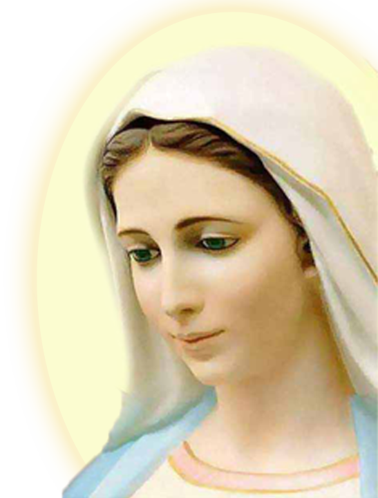 Thumb Image - Mama Mary Images Png (547x720), Png Download