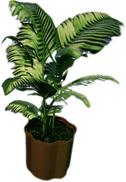 Image Rising Small Fern - Küçük Ağaç Png (406x583), Png Download