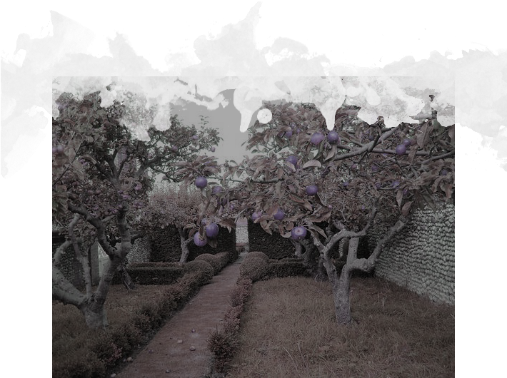 Until Then, The Creature Will Exhibit All The Traits - Alberi Da Frutto In Giardino (709x709), Png Download