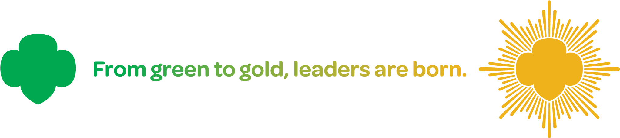 Girl Scout Gold Award Logo (2092x485), Png Download