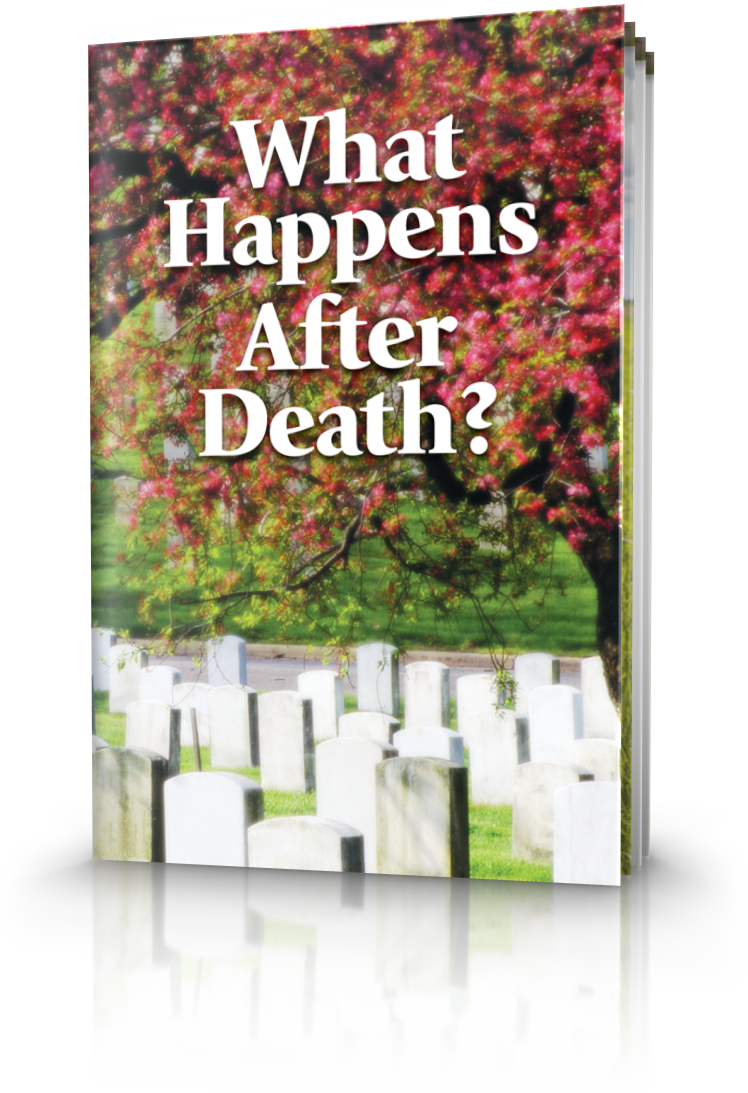 What Happens After Death - Afterlife (748x1093), Png Download