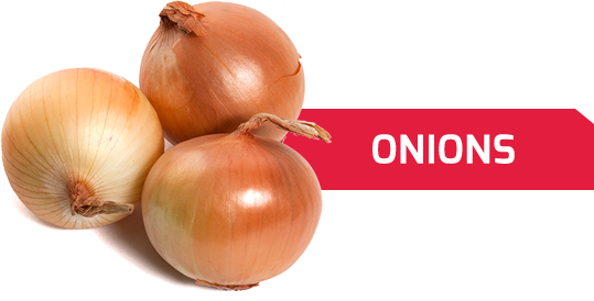 We Offer Onions Originating Mostly From Polish Farms - Onion (539x274), Png Download