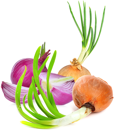 Healthier Crop - Onion (457x455), Png Download
