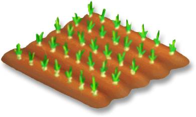 Onion Stage 1 - Hay Day Corn (394x394), Png Download