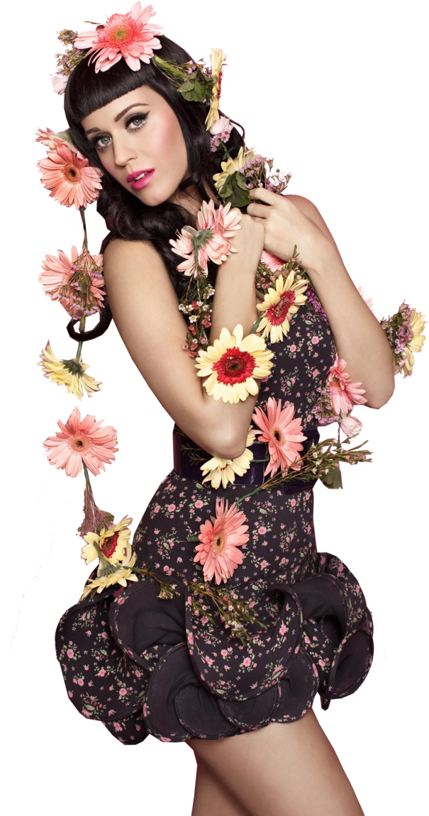Katy Perry Png Transparent Picture - Katy Perry Transparent Png (900x1293), Png Download